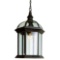 Trans Globe Rust 1-Light Outdoor Pendant Light 4183RT