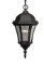 Craftmade Lighting - Z381 - One Light Outdoor Hanging Fixture