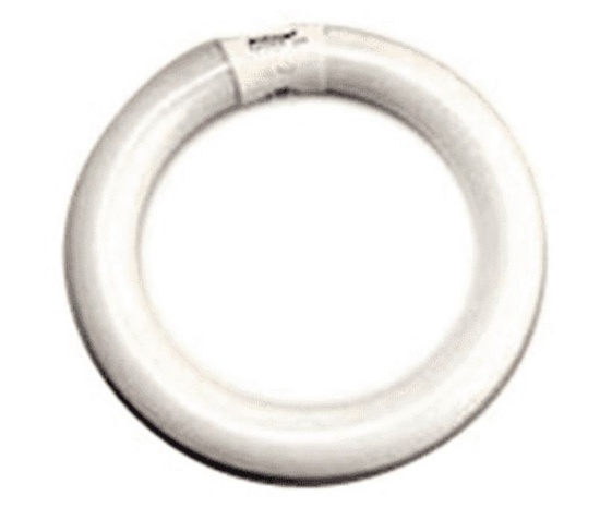 Case of 11-Halco ProLume 8" Circline Fluorescent Lamps  #FC8T9CW (37501)