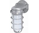 NUVO Lighting Die-Cast Aluminum Outdoor Wall Light with Frosted Globe Glass #76-620 packed in case