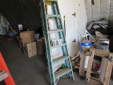 6' Fiberglass step ladder