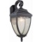 Artcraft Oakridge Collection #AC8921BK wall mount light