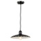 Transglobe Lighting Pendant #PND-987 Finish: Dark Bronze, 103