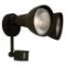 Craftmade Flood Light with photo cell and motion-black #Z402PM-05