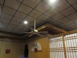 white stem style ceiling fans