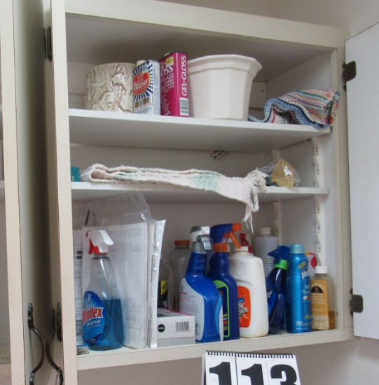 detergents, fabric sofenters, bleaches etc in cabinets above washer and dryer