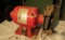 3/4 hp bench grinder