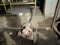 gasoline powered reel mower