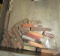 new and used 1/2