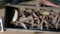 metal tool box with taps and dies