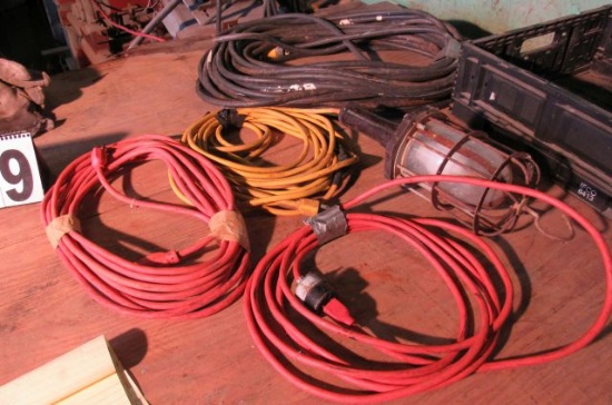 heavy extension cords and portable electric light with guard
