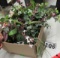 box of silk florals and Christmas decorations