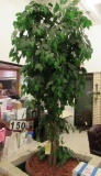 silk ficus tree in pot  54