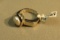 Sterling fresh water pearl ring size 8 3/4, weight 10.4 g