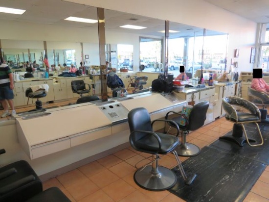 Liquidation of Hair Handlers Salon