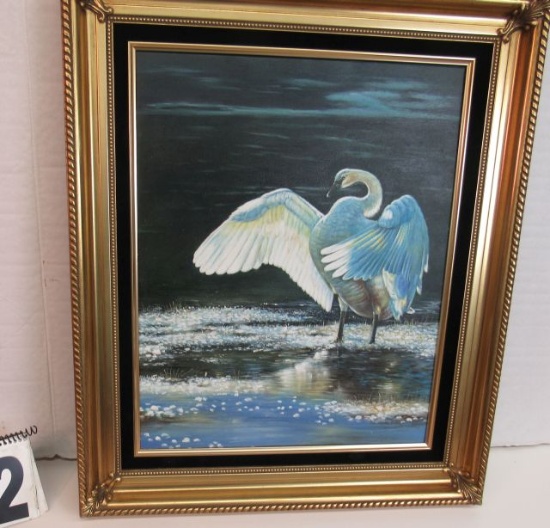 Framed Print on Canvas  Swan  26" x 22"