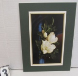 Matted Print  (unframed) Matted Magnolia  18