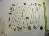 11 mixed brooches, 11 necklaces, 1 bracelet