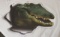 Florida Gator Magnetic Heads 16 x 11