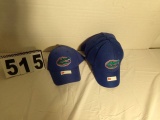 Florida Gators Nike Swoosh Flex Caps