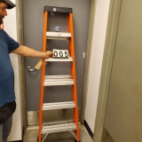 6' Davidson fiberglass step ladder