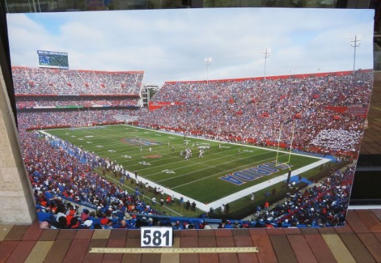 Picture of Florida Ben Hill Griffin Stadium on corrugated plastic 48"H x 72"W