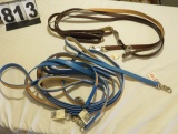 Florida Gators Dog Leashes