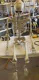 skeleton (plastic) about 5 feet