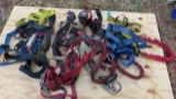 group of safety harnesses including one retractable strap