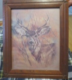 Framed print of deer head 20