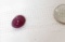 ruby cabochon cut purple red 9.45mm x 11.0 mm 6.3ct