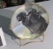 Franklin Mint collector plate with Labrador retrievers and stand