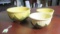 Shawnee bowls