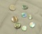 Abalone highly polished discs assorted sizes blue and green