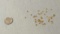Citrine Golden Round Faceted 3mm
