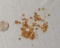 Citrine Light yellow to orange Round Cabochon Assorted sizes 14.45cts