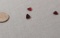Garnet Mozambique Red Trillion Faceted 6mm