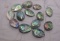 Abalone oblong drilled beads great for necklaces and bracelets polished blue gree coloring