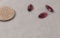 Garnet Rhodolite Marquee Faceted 10mm x 5mm