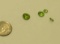 Peridot Yellow-green Round Faceted Assorted sizes