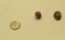 Rhodonite Pink/black Oval/bead Smooth 20.20mm x 15.15mm