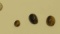 Tiger eye Brown-yellow Oval Cabochon Assorted sizes