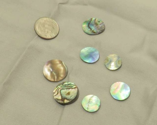 Abalone highly polished discs assorted sizes blue and green