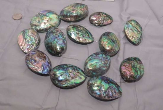 Abalone oblong drilled beads great for necklaces and bracelets polished blue gree coloring