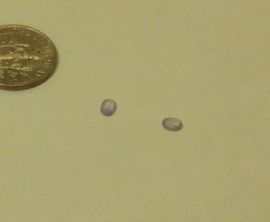 Sapphire, Natural Light blue Oval Faceted
