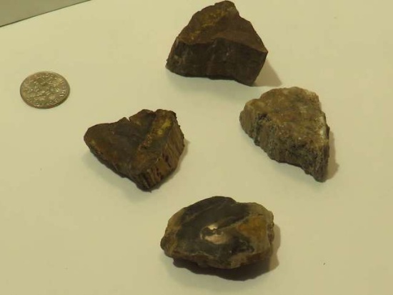 petrified wood Assorted shapes
