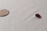 Garnet Red, dark Trillion cut Faceted