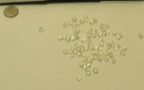 pack of 20 plus Moonstone White Round-oval Cabochon Assorted sizes