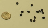 Sapphire Black Faceted Oval 6mm x 4mm