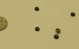 Tiger eye Dark brown Round Cabochon 4mm